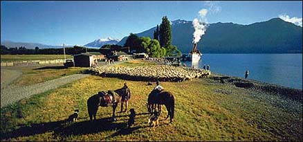 New Zealand's Merino Trail